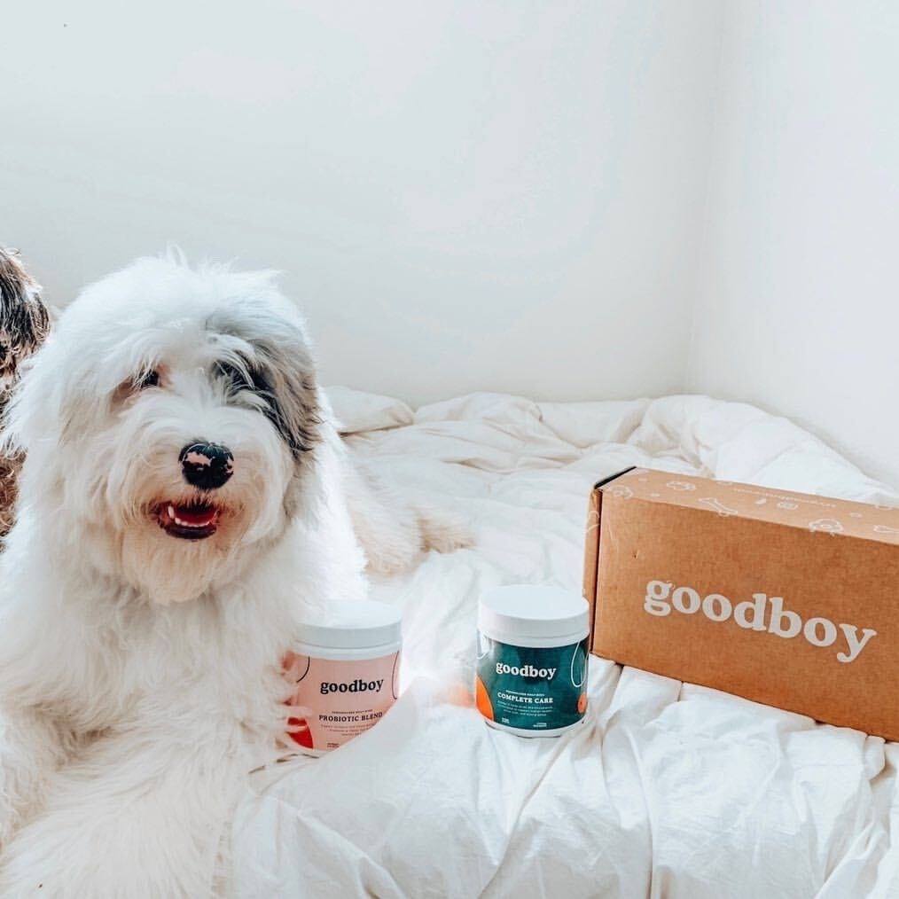 Goodboy 25: Lifestyle Secondary Images