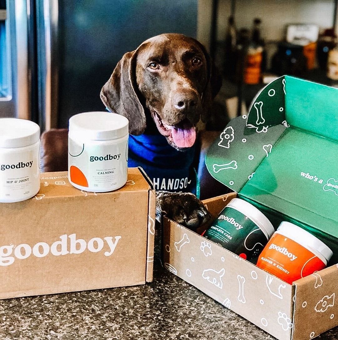 Goodboy 26: Lifestyle Secondary Images