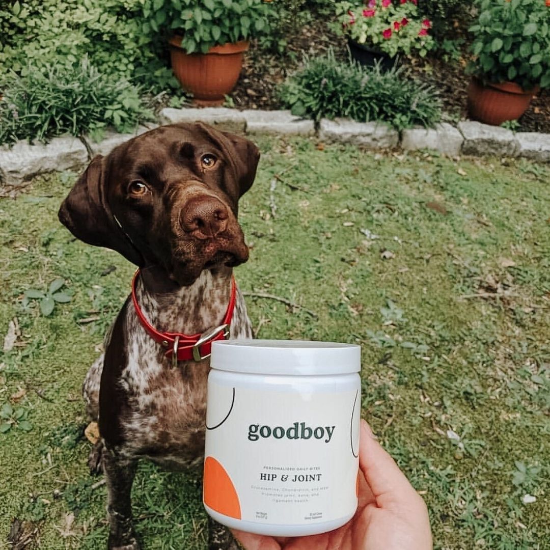 Goodboy 29: Lifestyle Secondary Images