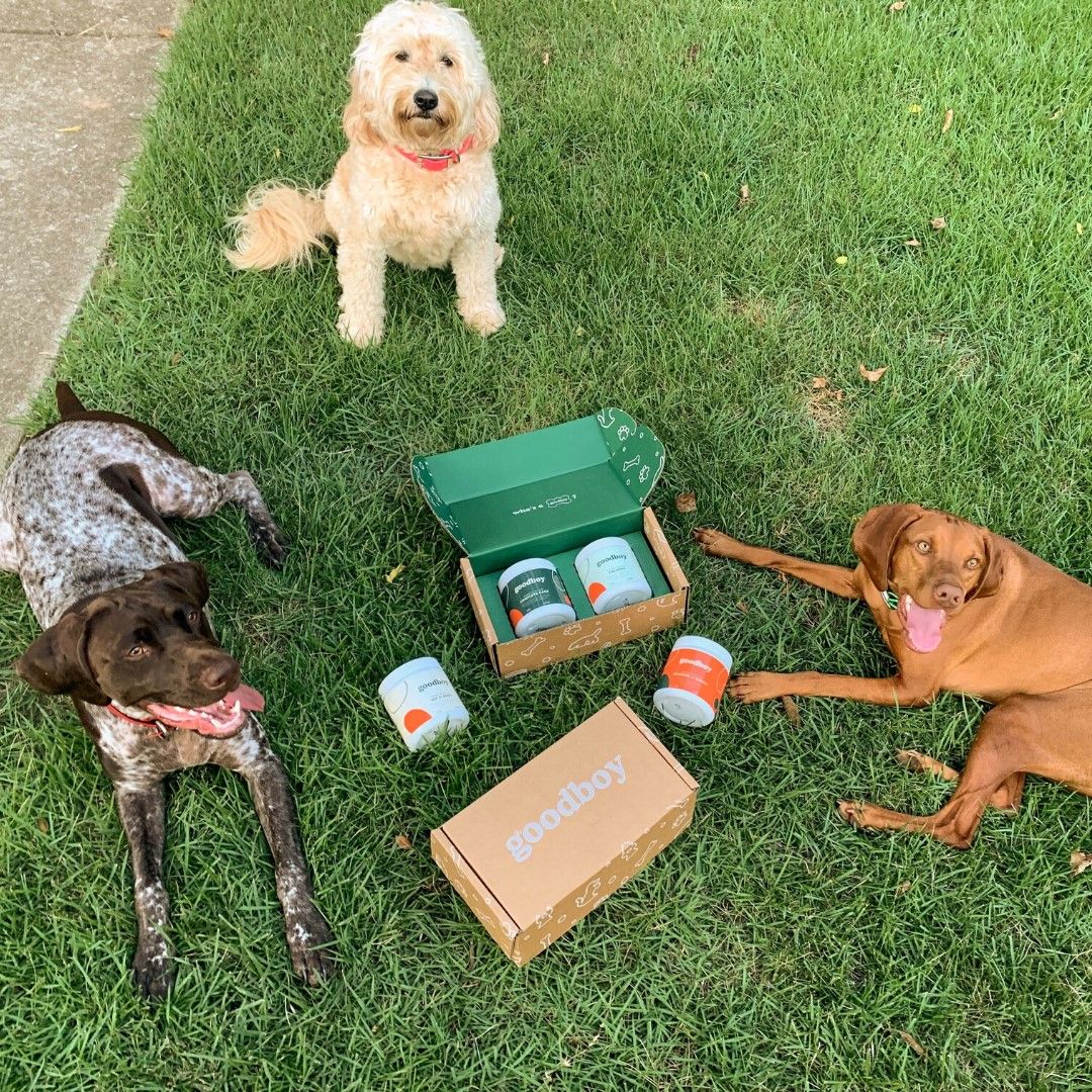 Goodboy 31: Lifestyle Secondary Images