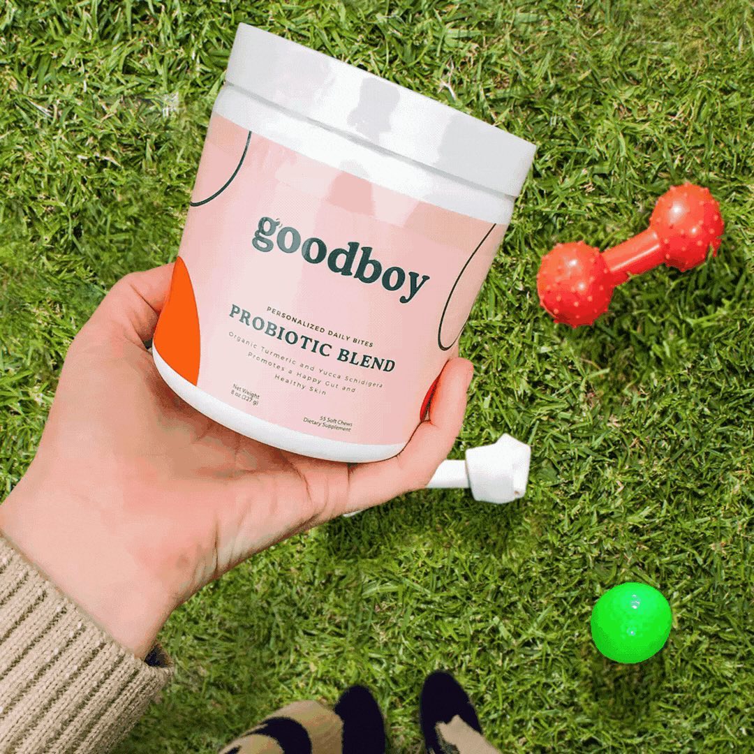 Goodboy 6: Lifestyle Secondary Images