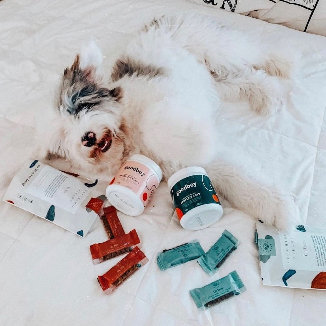 Goodboy 9: Lifestyle Secondary Images