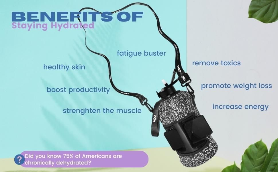 H20Capsule2: Infographics