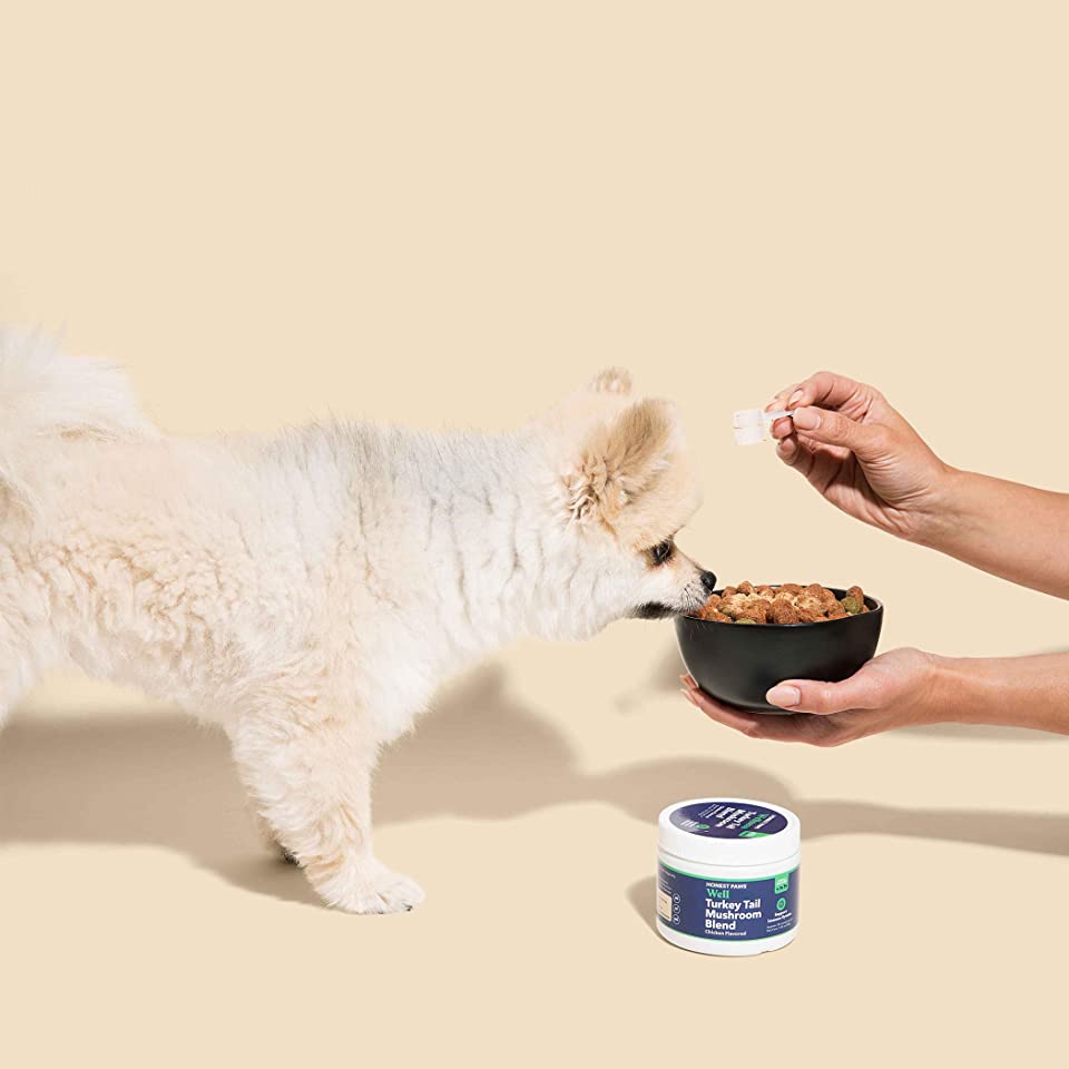 HONEST PAWS CB PET 3: Backdrops
