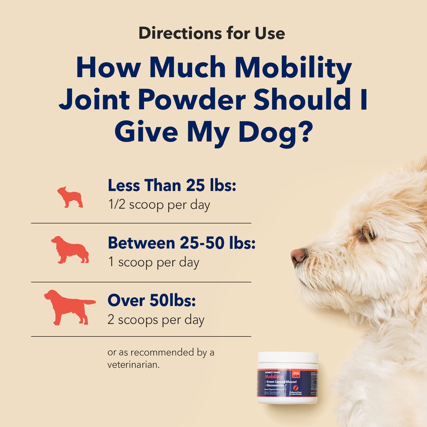 HONEST PAWS INF PET 10: Infographics