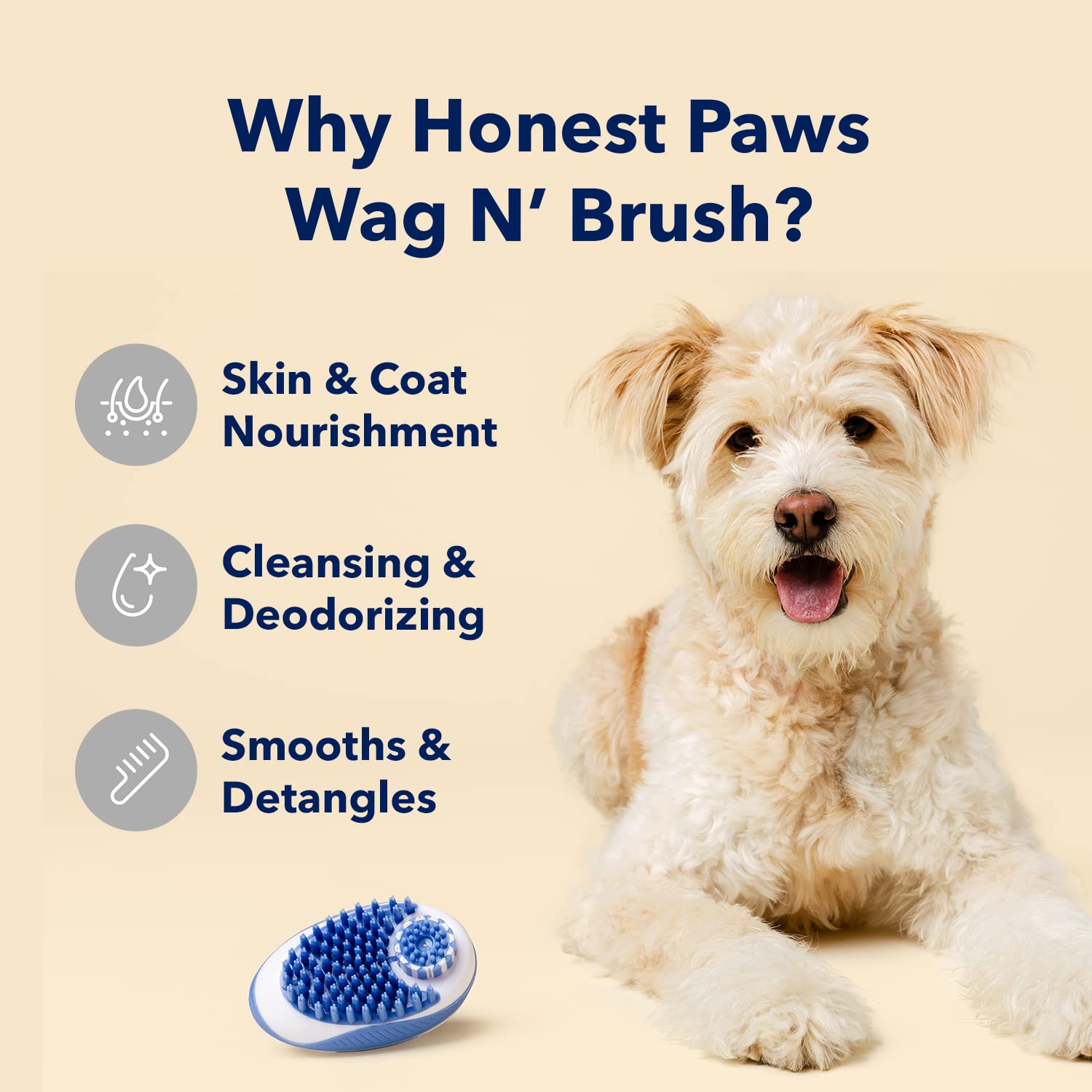 HONEST PAWS INF PET 12: Infographics
