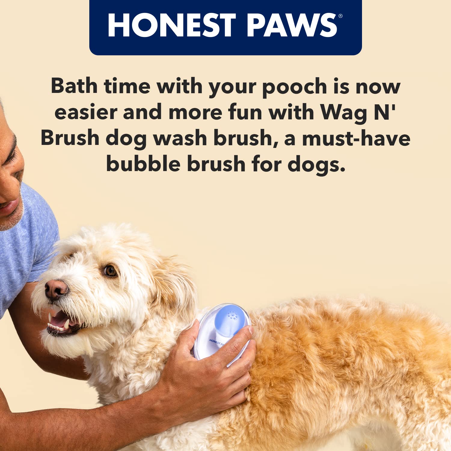 HONEST PAWS INF PET 13: Infographics