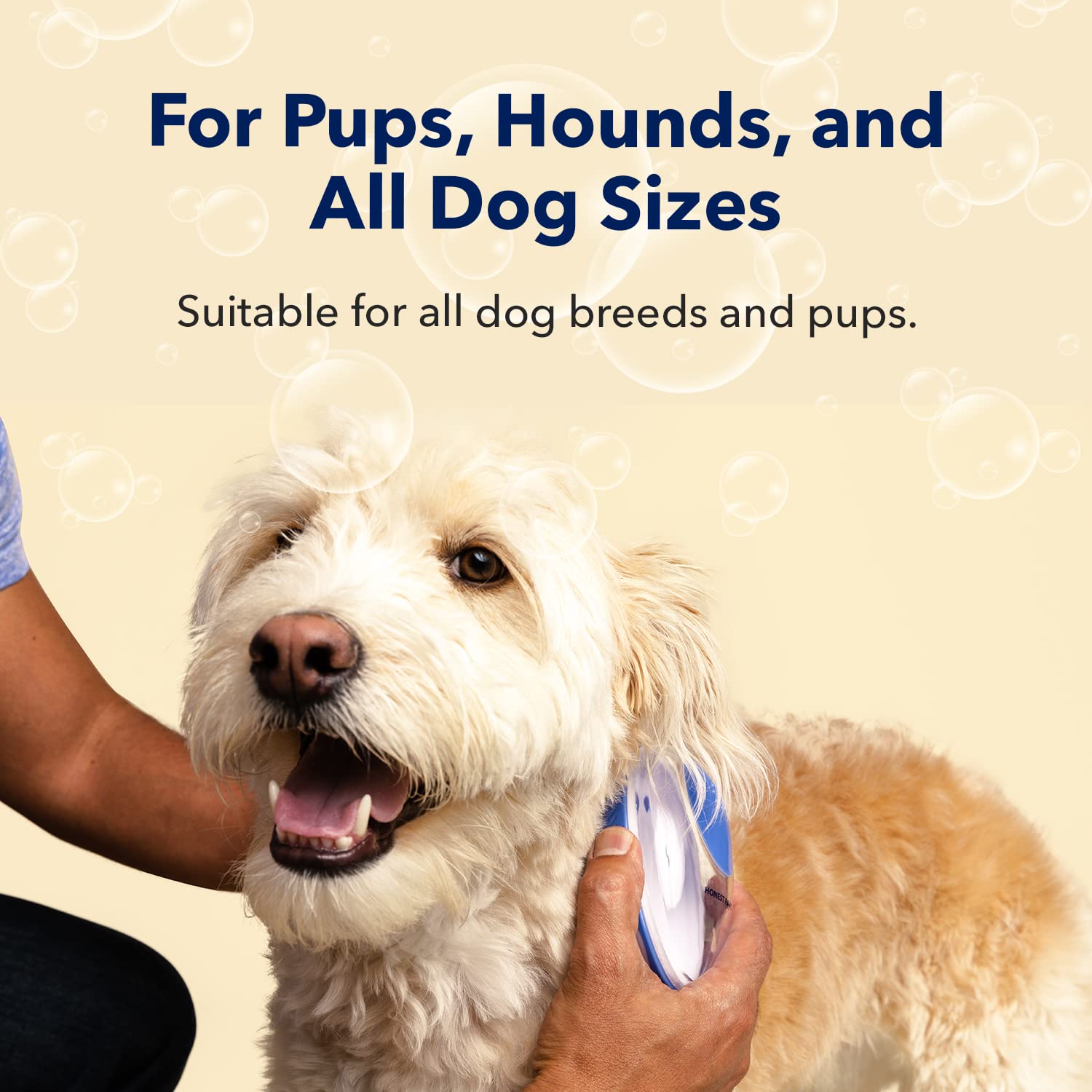 HONEST PAWS INF PET 15: Infographics