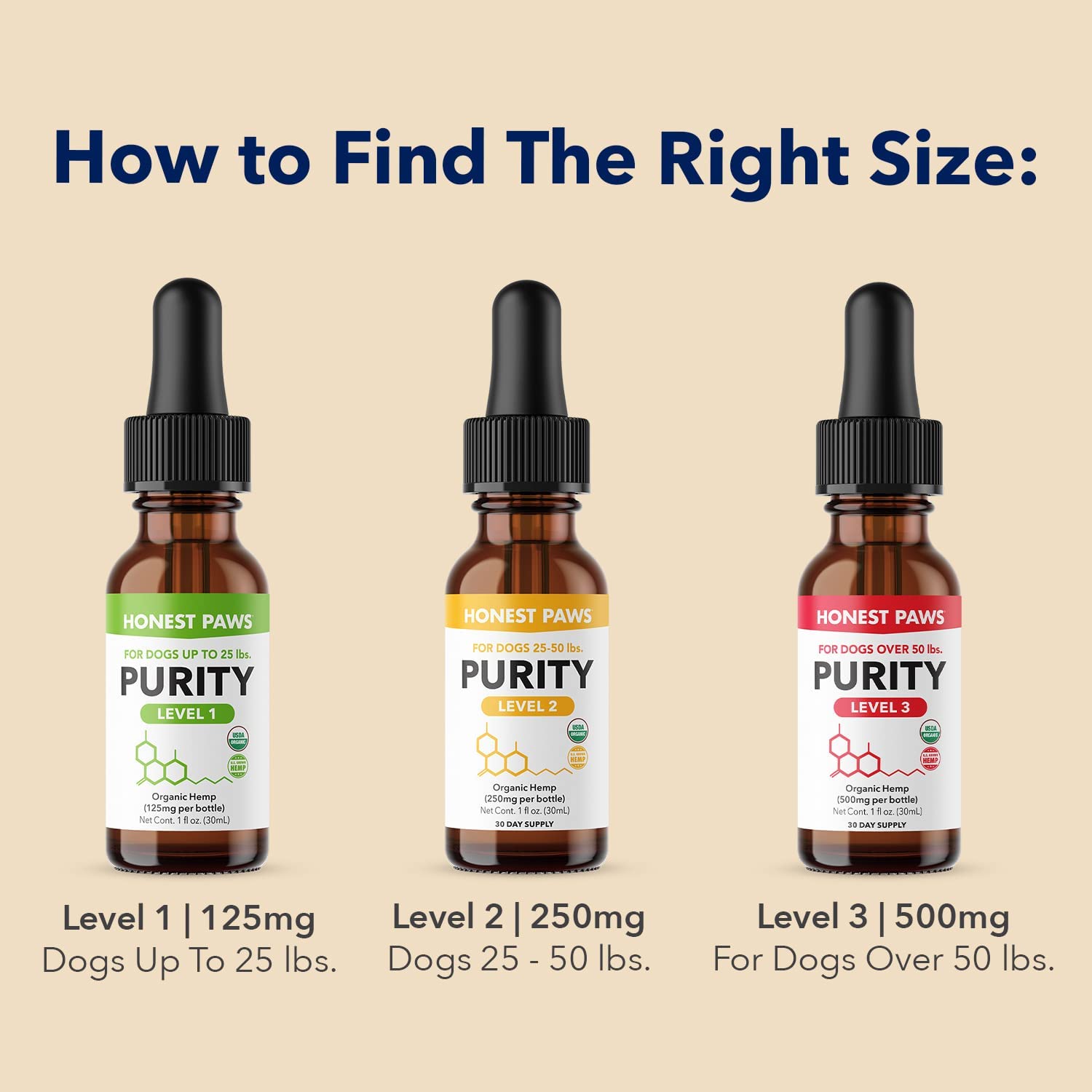 HONEST PAWS INF PET 16: Infographics