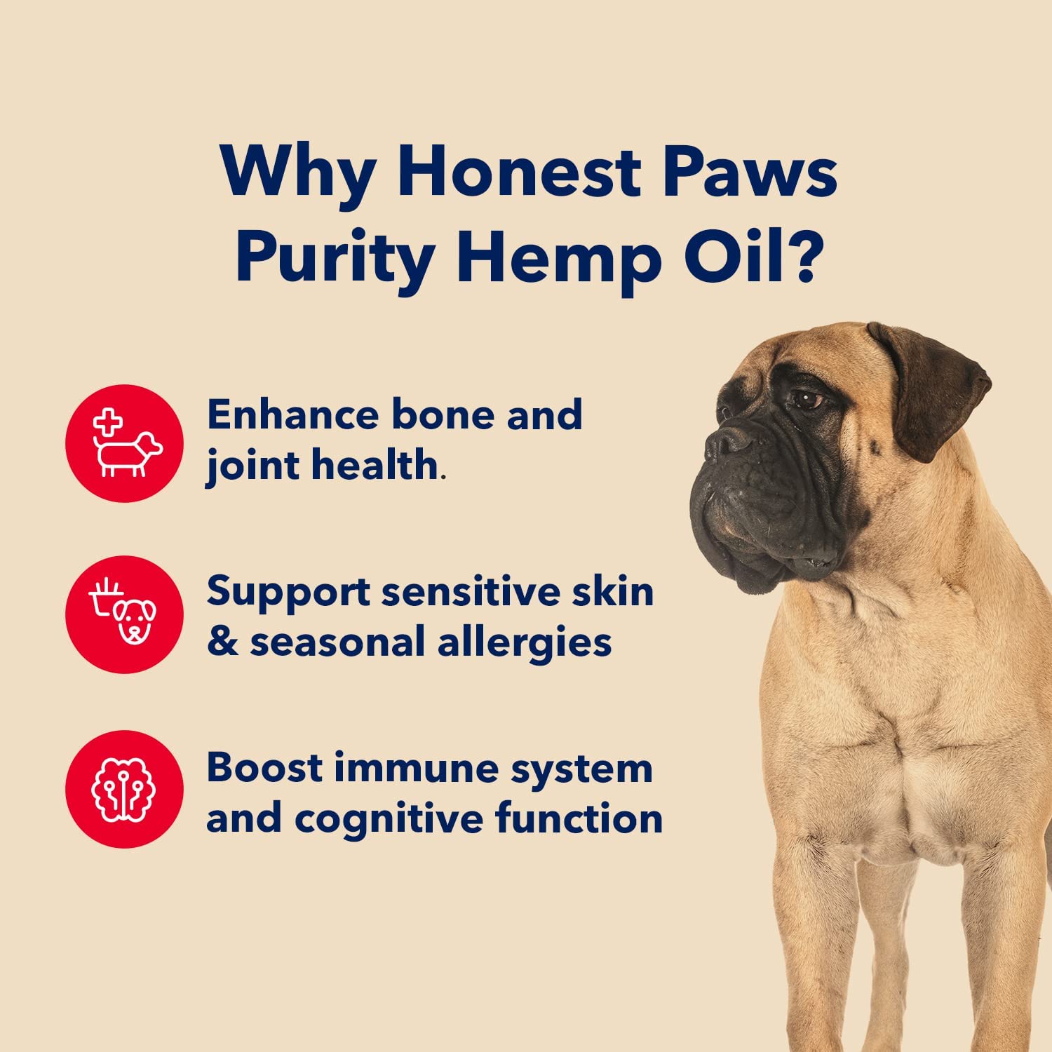 HONEST PAWS INF PET 17: Infographics