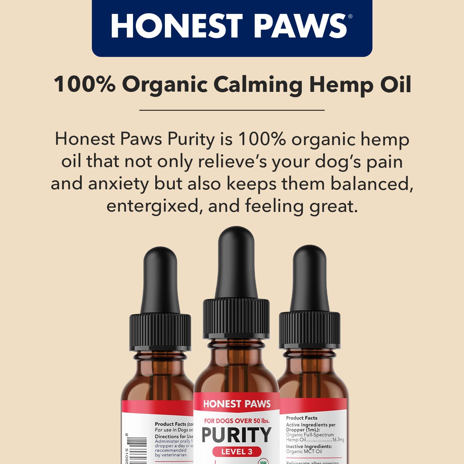 HONEST PAWS INF PET 18: Infographics