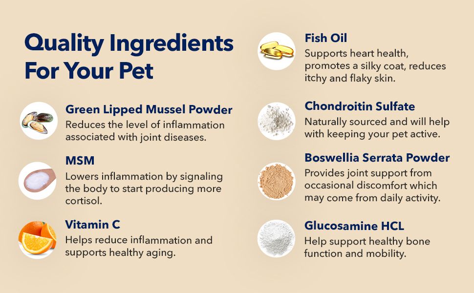 HONEST PAWS INF PET 19: Infographics
