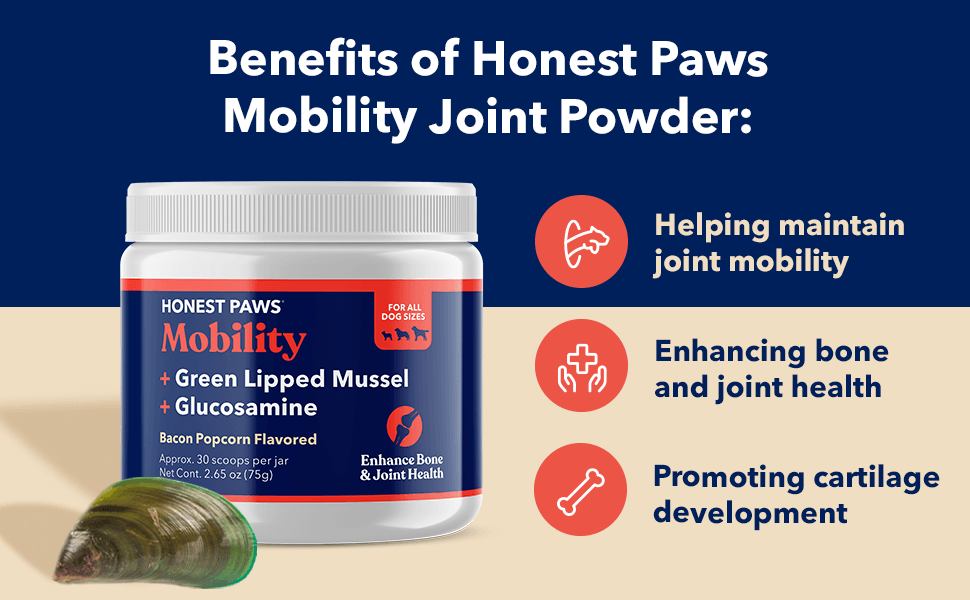 HONEST PAWS INF PET 20: Infographics