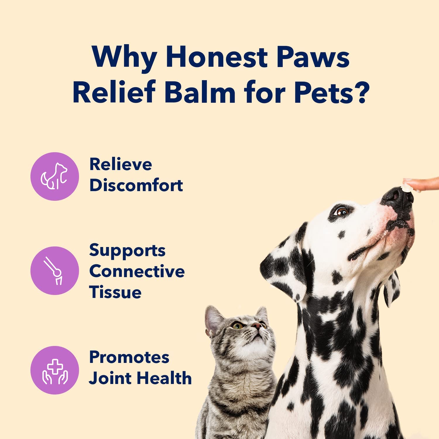 HONEST PAWS INF PET 22: Infographics