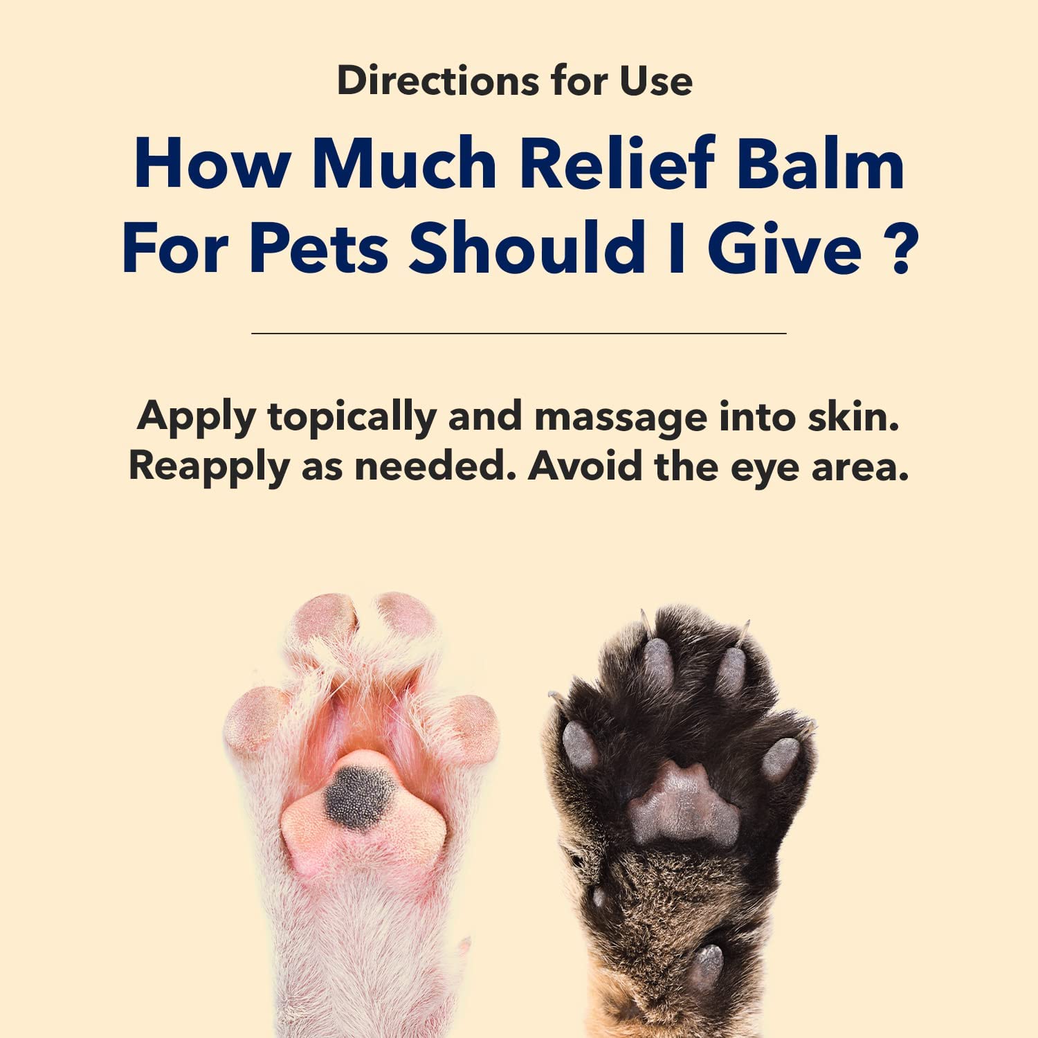 HONEST PAWS INF PET 23: Infographics