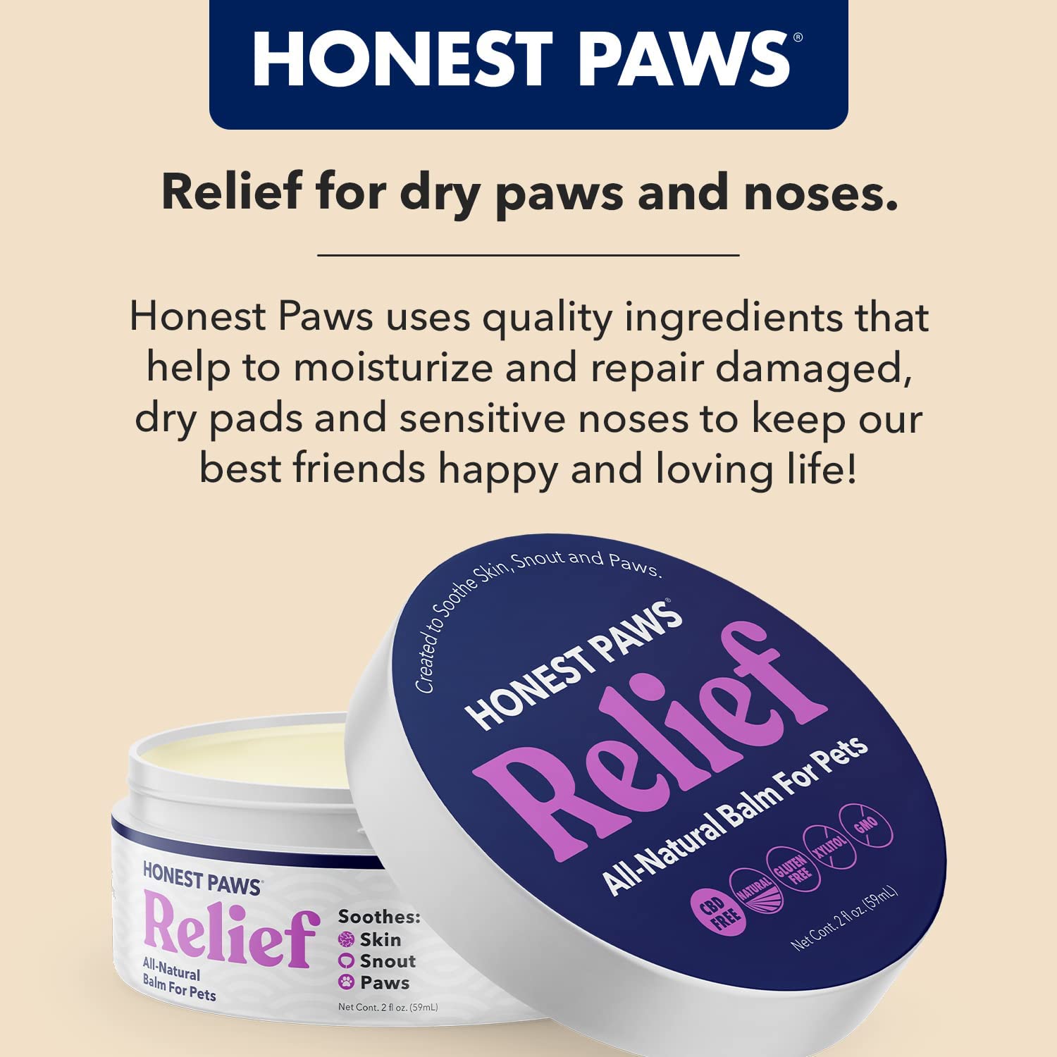 HONEST PAWS INF PET 24: Infographics