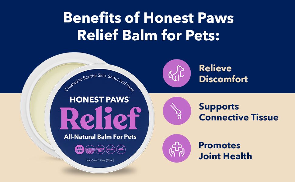 HONEST PAWS INF PET 25: Infographics