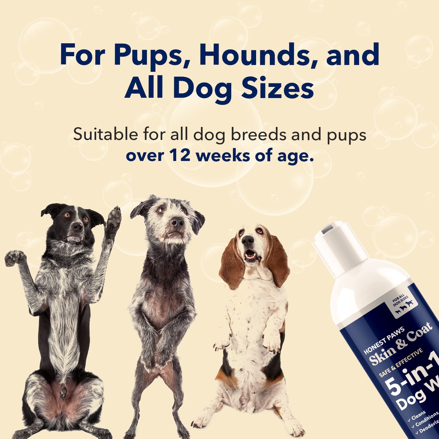 HONEST PAWS INF PET 3: Infographics