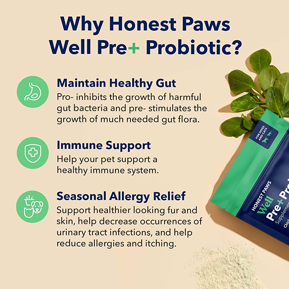 HONEST PAWS INF PET 4: Infographics