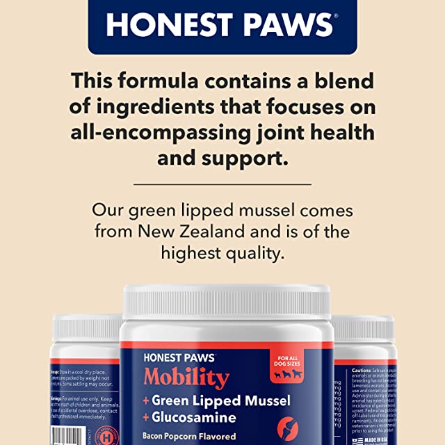 HONEST PAWS INF PET 6: Infographics