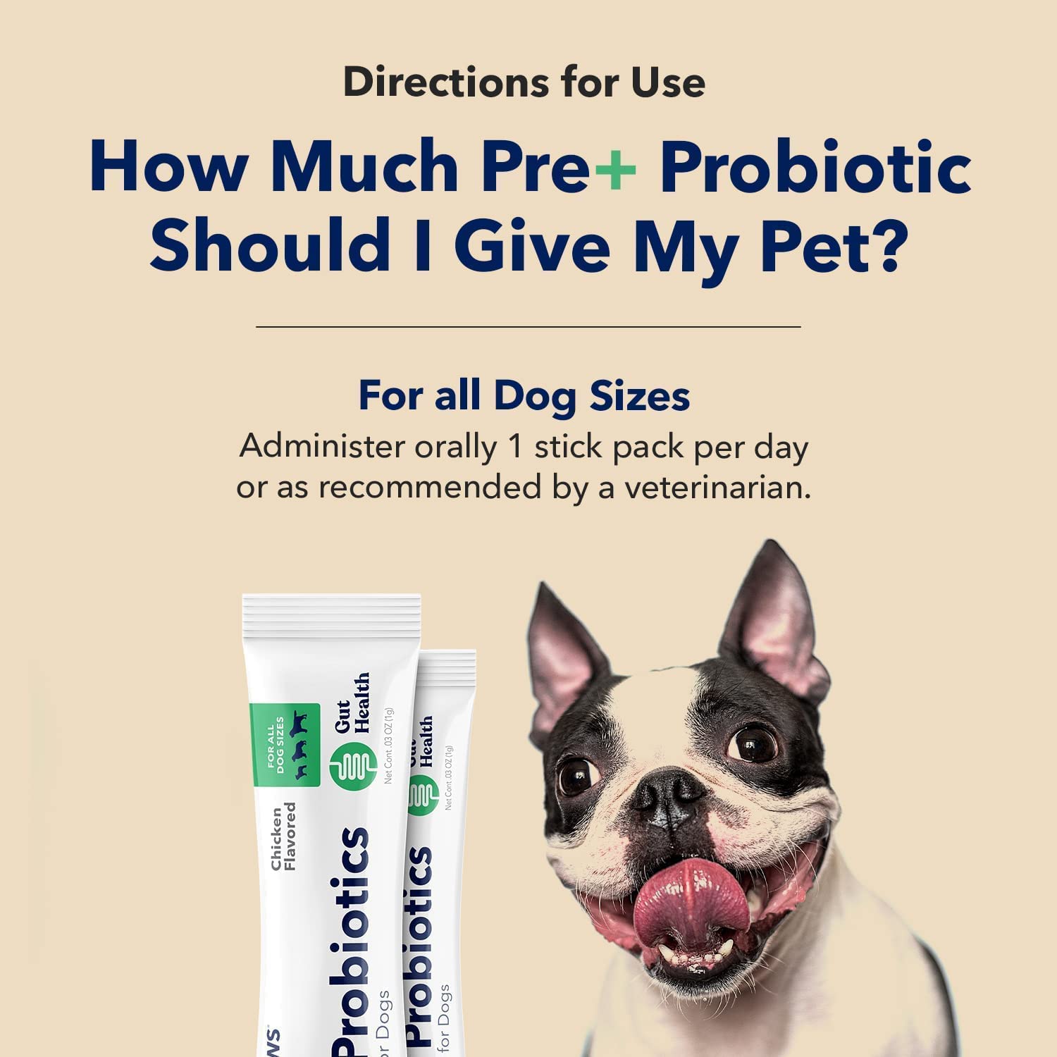 HONEST PAWS INF PET 8: Infographics