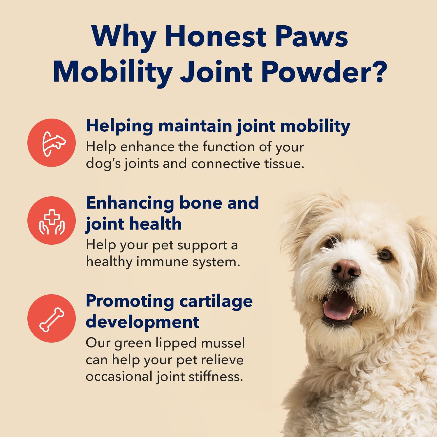 HONEST PAWS INF PET 9: Infographics