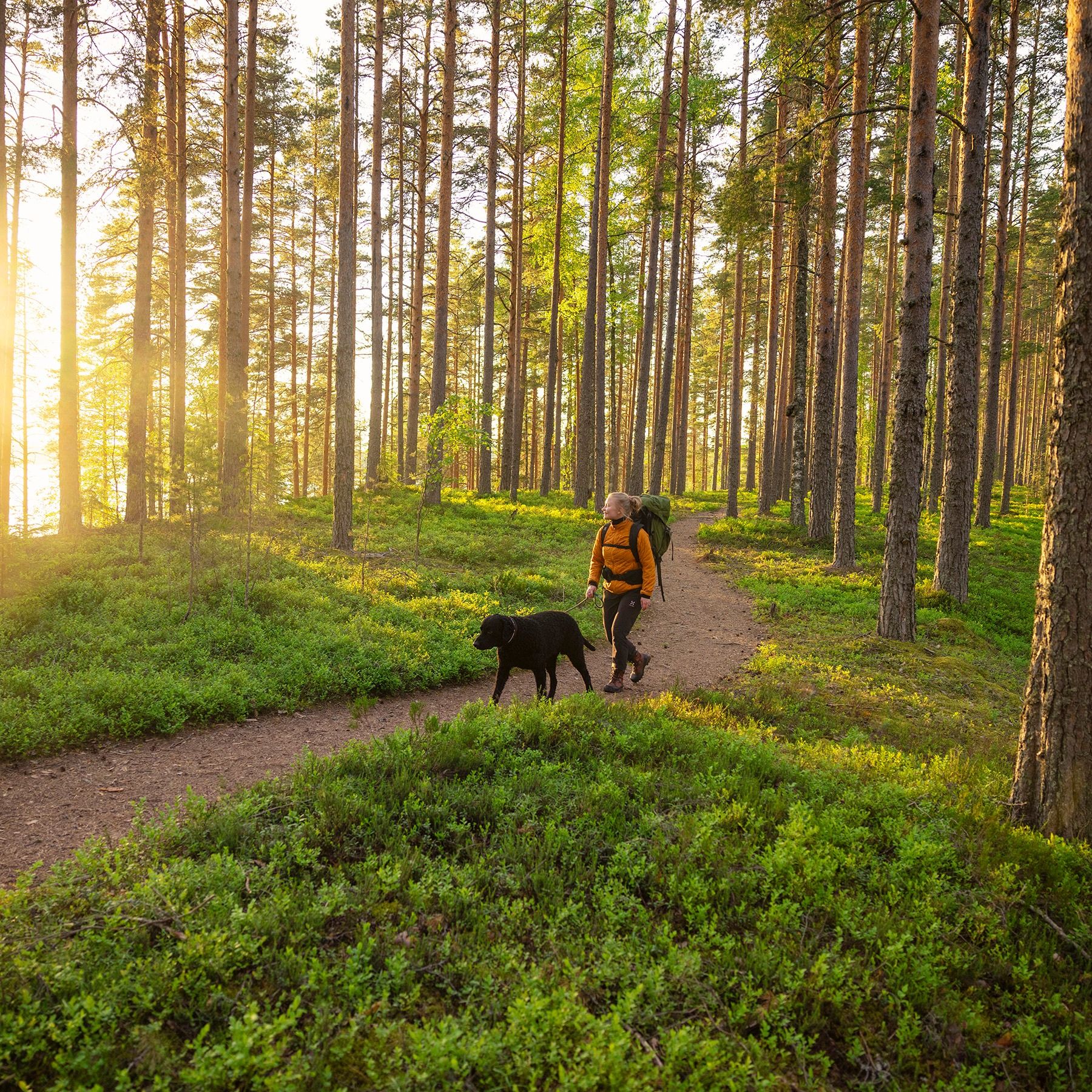 Haglöfs Outdoor LIF 27: Lifestyle Secondary Images