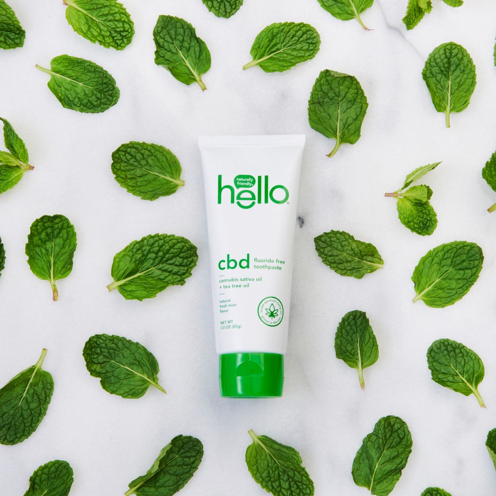 Hello 40: Backdrops