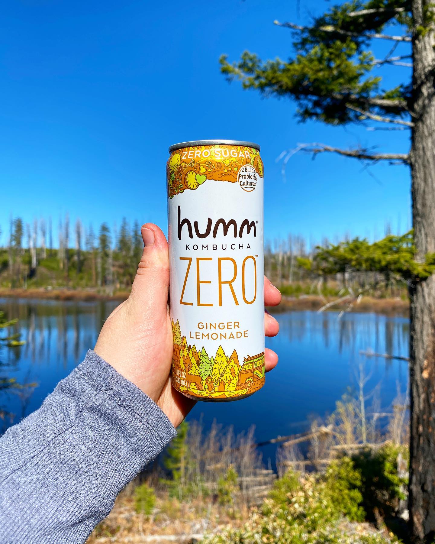 Humm Kombucha 8: Lifestyle Secondary Images