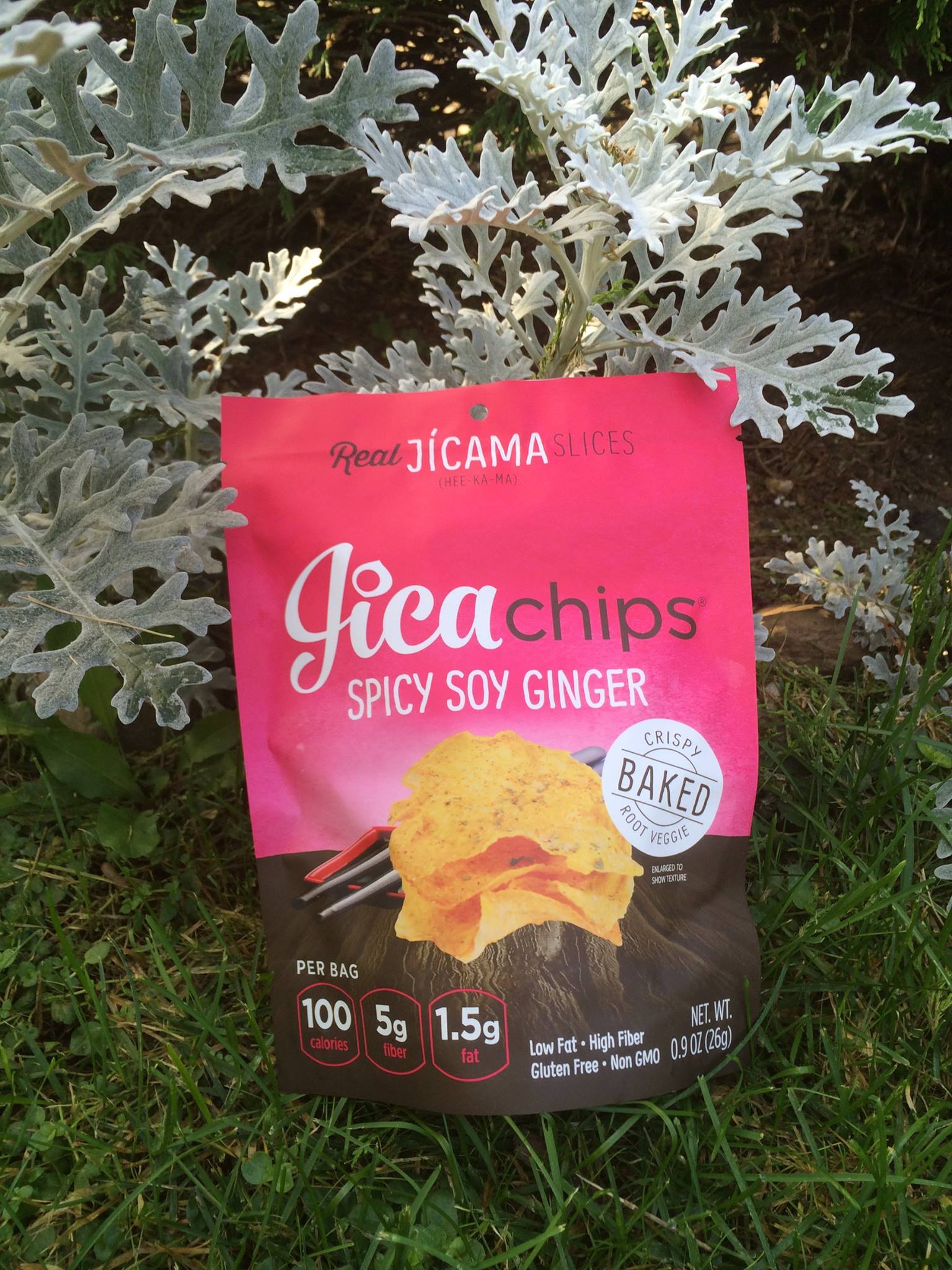 JicaFoods 4: Lifestyle Secondary Images