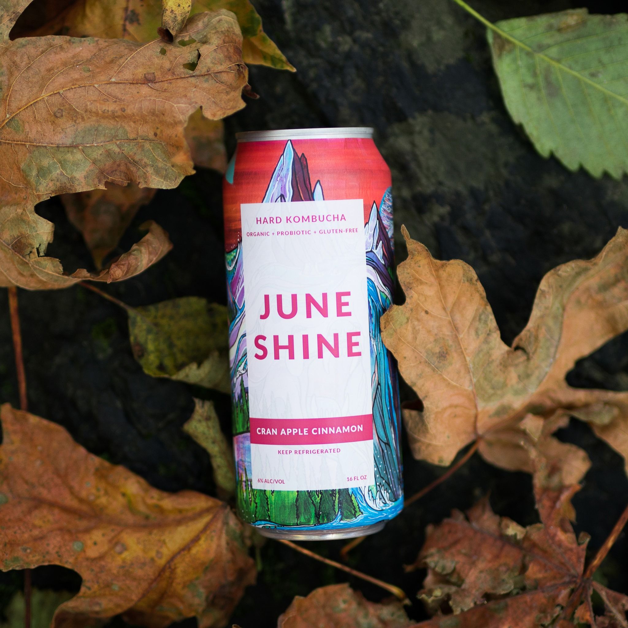 JuneShine 01: Lifestyle Secondary Images