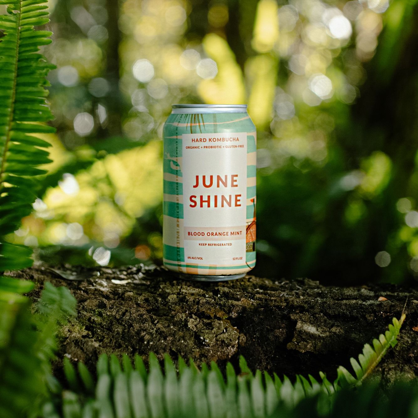 JuneShine 03: Lifestyle Secondary Images