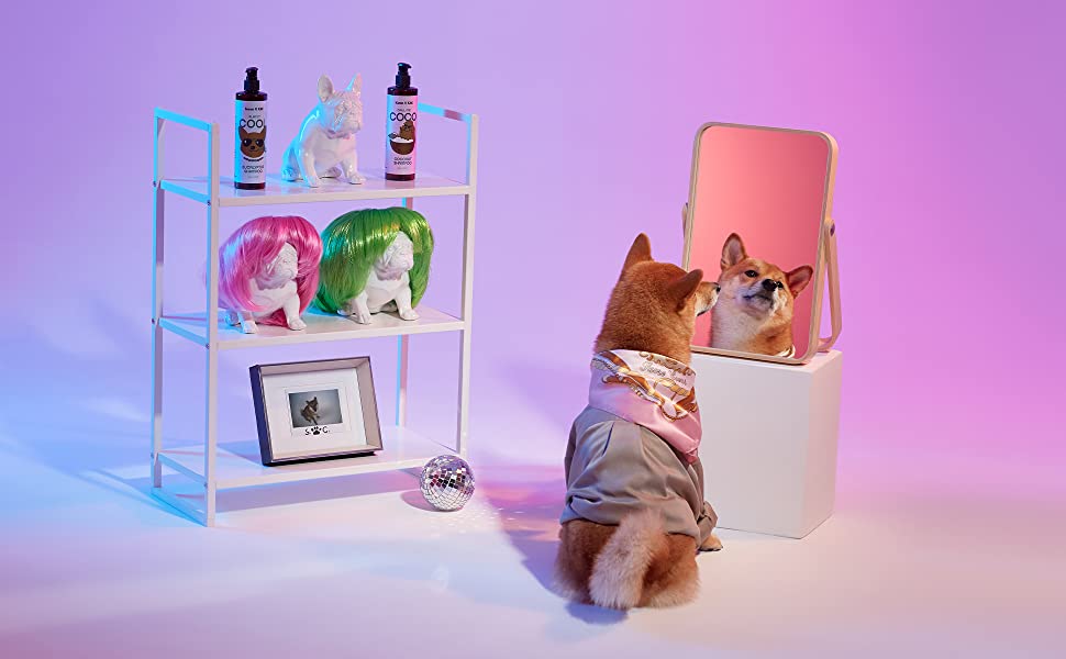 KENN AND KITT CB PET 3: Backdrops