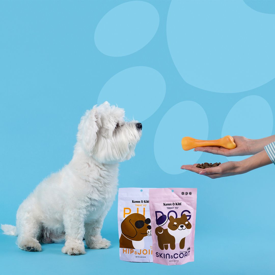 KENN AND KITT CB PET 4: Backdrops