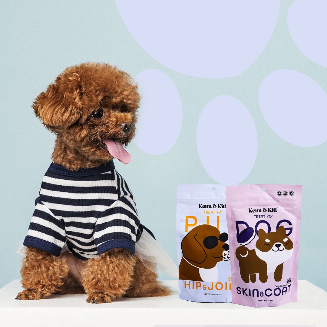 KENN AND KITT CB PET 8: Backdrops