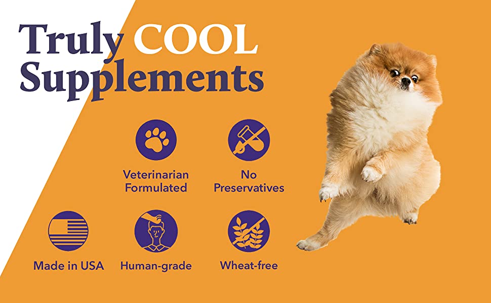 KENN AND KITT INF PET 42: Infographics