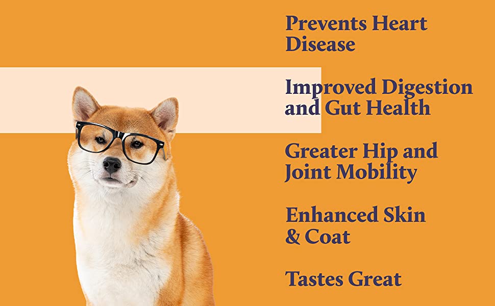 KENN AND KITT INF PET 43: Infographics