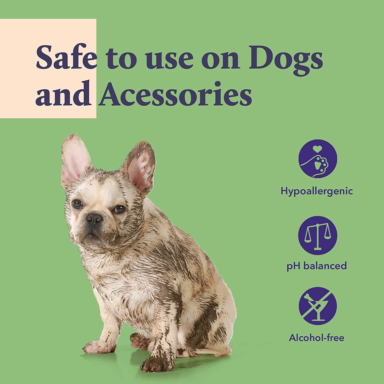 KENN AND KITT INF PET 4: Infographics