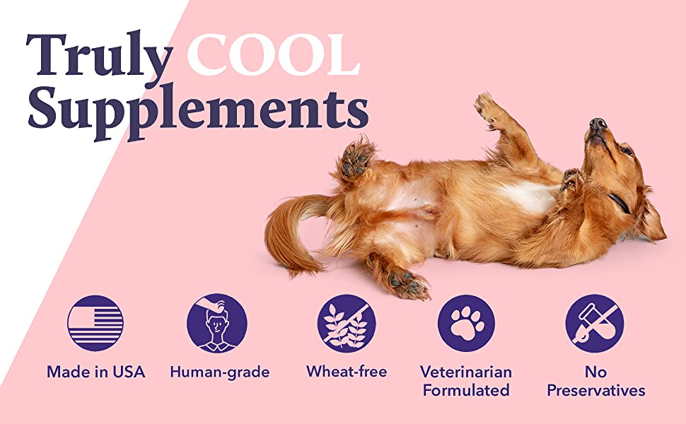KENN AND KITT INF PET 59: Infographics