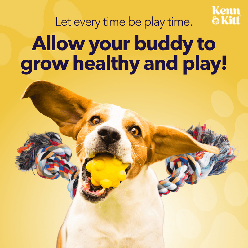 KENN AND KITT INF PET 71: Infographics