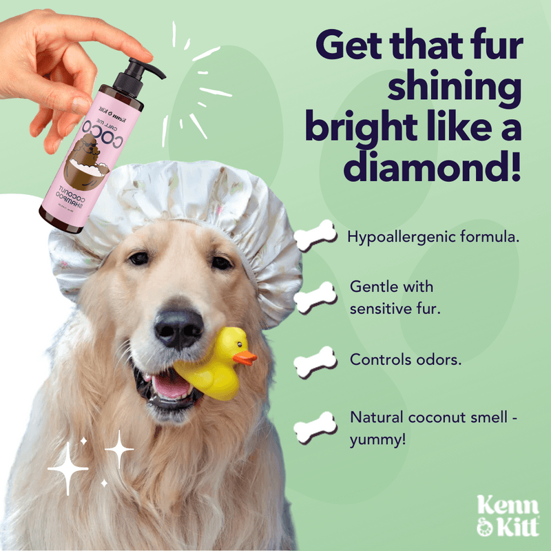 KENN AND KITT INF PET 75: Infographics
