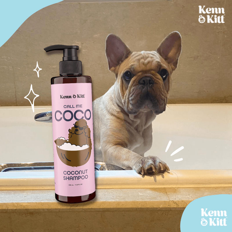 KENN AND KITT LIF PET 2: Lifestyle Secondary Images