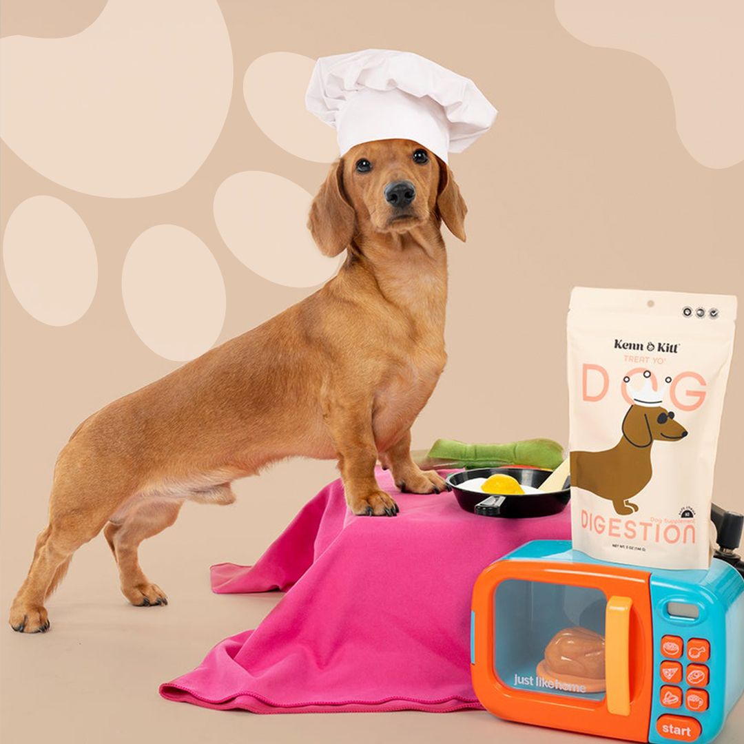 KENN AND KITT LIF PET 3: Lifestyle Secondary Images
