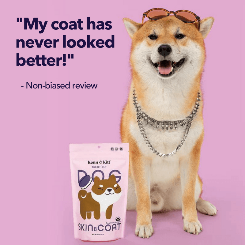 KENN AND KITT PR PET 2: Testimonial Secondary Images