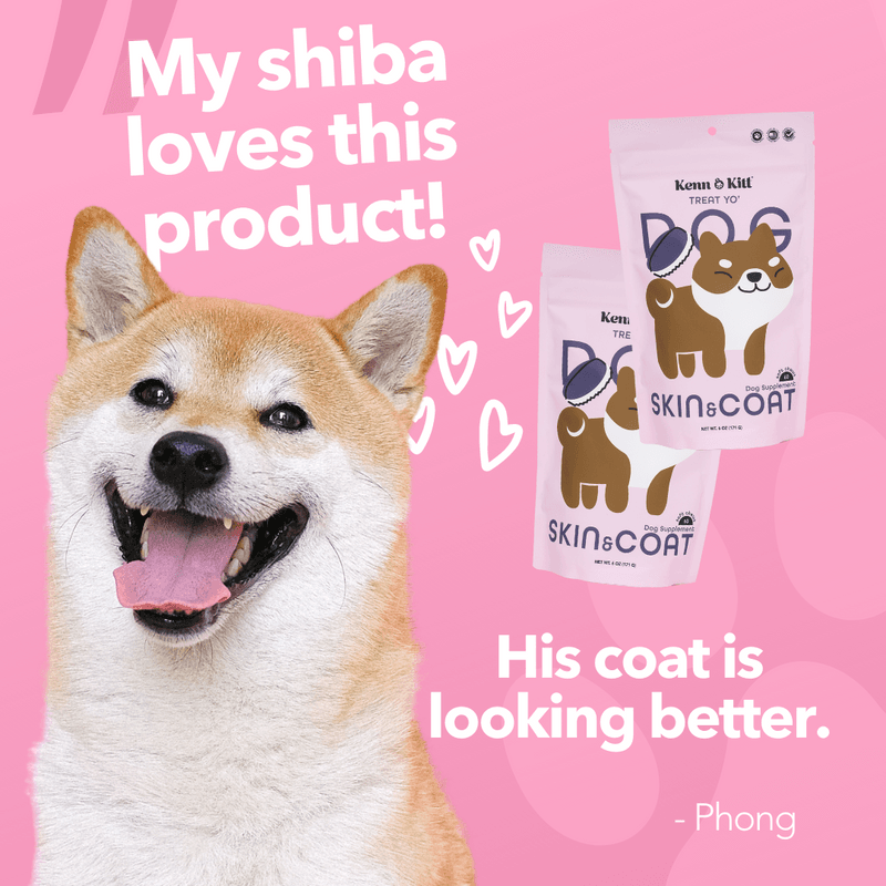 KENN AND KITT PR PET 3: Testimonial Secondary Images