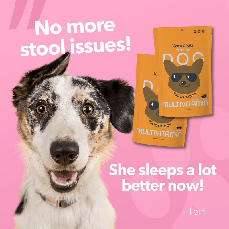 KENN AND KITT PR PET 4: Testimonial Secondary Images