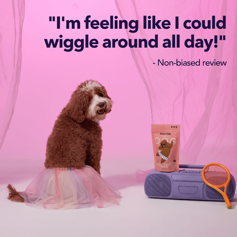KENN AND KITT PR PET 6: Testimonial Secondary Images