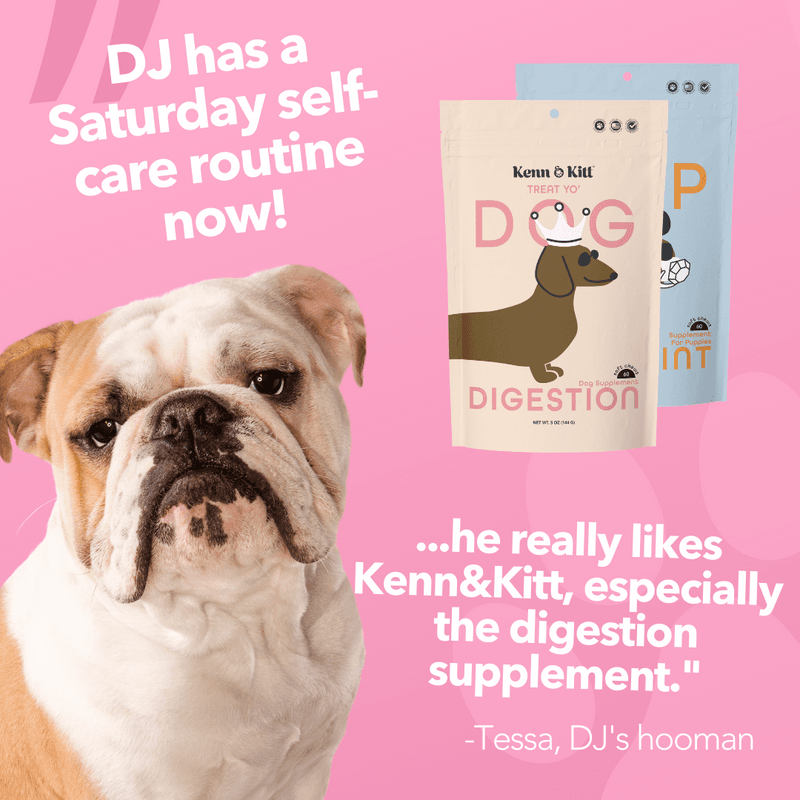 KENN AND KITT PR PET 7: Testimonial Secondary Images