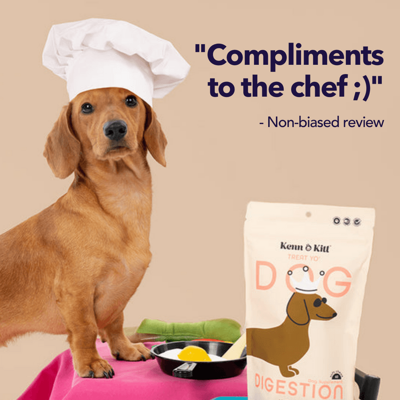 KENN AND KITT PR PET 8: Testimonial Secondary Images