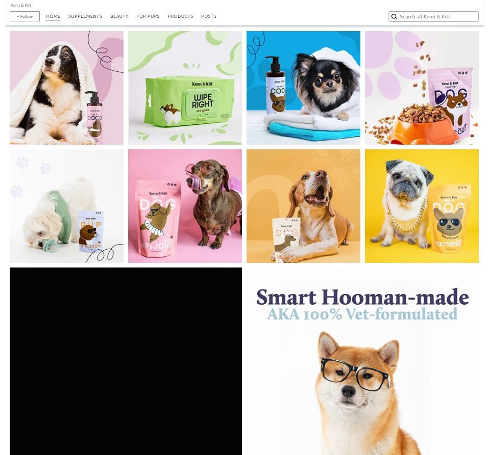 KENN AND KITT STORE PET 2: Storefront